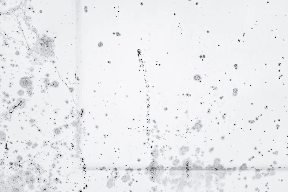 Mold Testing