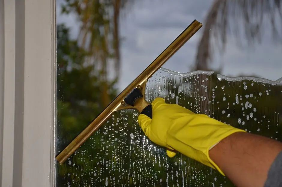 Decatur Mold Solutions — Mold Remediation you can rely on